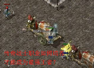 ����սʿְҵ����������ܳ�Ϊ��ǿ���ߣ�