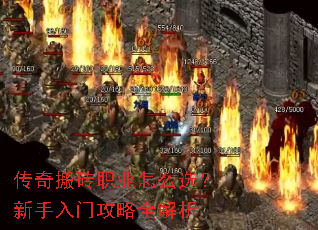 �����שְҵ��ôѡ���������Ź���ȫ����