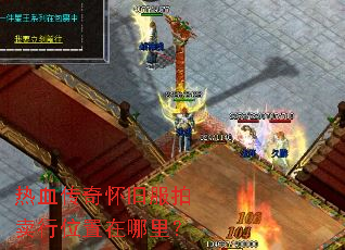 ��Ѫ���滳�ɷ�������λ�������