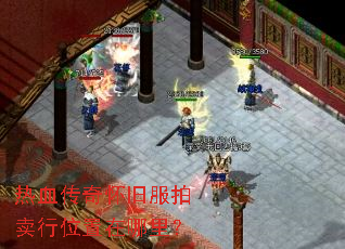 ��Ѫ���滳�ɷ�������λ�������