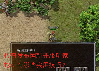 ���淢�����¿�������ڿ�����Щʵ�ü��ɣ�