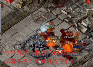 ������Ϸ�������ŵİ�֮boss����Щ�������ս���ǣ�