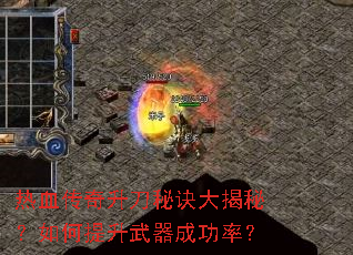 ��Ѫ���������ؾ�����أ�������������ɹ��ʣ�
