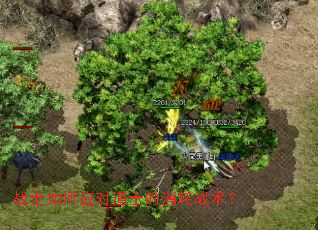 սʿ���Ӧ�Ե�ʿ������ս����