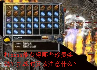 ��boss�ܻ����Щ���������սʱ�ָ�ע��ʲô��