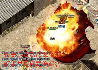 ������Ϸ˽����ô�棿���ֳ�������ȫ���