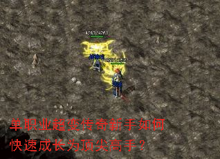 ��ְҵ���䴫��������ο��ٳɳ�Ϊ������֣�