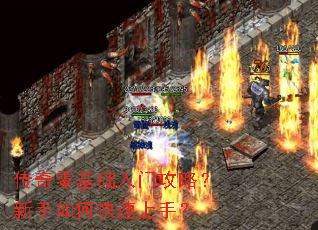 ������������Ź��ԣ�������ο������֣�
