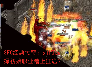 SFC���䴫�棺���ѡ���ʼְҵ̤����;��