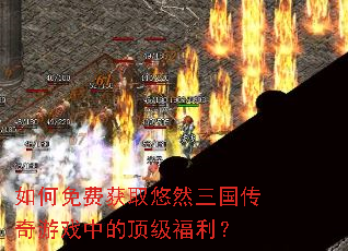 �����ѻ�ȡ��Ȼ����������Ϸ�еĶ���������
