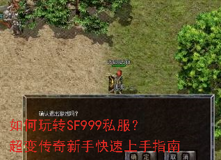 �����תSF999˽�������䴫�����ֿ�������ָ��