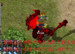 ����֮�ٻ�ʦ������ô�棿������ο������ֳ�Ϊ��ʦ���ٻ�ʦ��