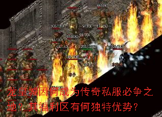 ���ʳ���γ�Ϊ����˽������֮�أ��丣�����кζ������ƣ�
