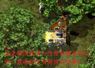���ʳ���γ�Ϊ����˽������֮�أ��丣�����кζ������ƣ�