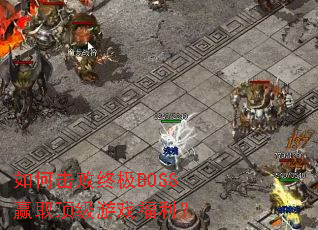 ��λ����ռ�BOSSӮȡ������Ϸ������