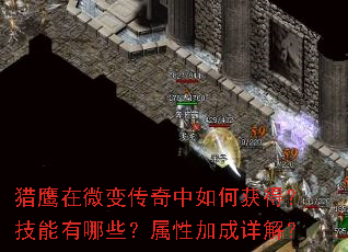 ��ӥ��΢�䴫������λ�ã���������Щ�����Լӳ���⣿