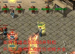 ��ο��ٻ���BOSS����������������˽�����׹��Դ�ȫ