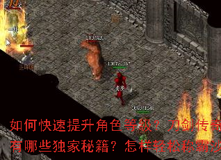 如何快速提升角色等级?刀剑传奇私服有哪些独家秘籍?怎样轻松称霸沙城? 如何快速提升角色等级?刀剑传奇私服有哪些独家秘籍?怎样轻松称霸沙城?