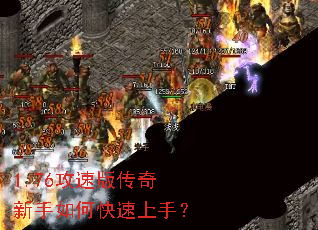 1.76���ٰ洫��������ο������֣�