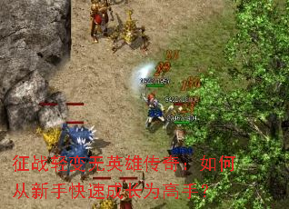 征战轻变无英雄传奇:如何从新手快速成长为高手? 征战轻变无英雄传奇:如何从新手快速成长为高手?