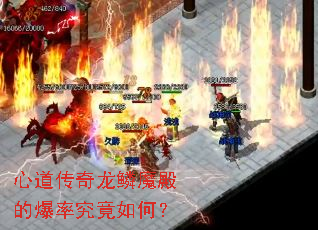心道传奇龙鳞魔殿的爆率究竟如何? 心道传奇龙鳞魔殿的爆率究竟如何?