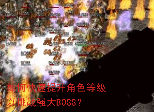 如何快速提升角色等级以挑战强大BOSS? 如何快速提升角色等级以挑战强大BOSS?