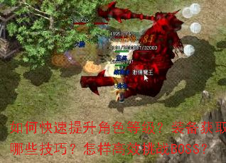 如何快速提升角色等级?装备获取有哪些技巧?怎样高效挑战BOSS? 如何快速提升角色等级?装备获取有哪些技巧?怎样高效挑战BOSS?