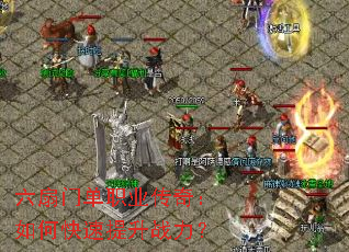 �����ŵ�ְҵ���棺��ο�������ս����
