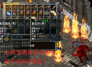 如何免费体验传奇私服中的NPC秘境? 如何免费体验传奇私服中的NPC秘境?