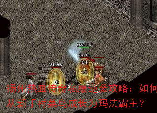 ������Ѫ����˽����Ϯ���ԣ���δ����ִ����ɳ�Ϊ�귨������