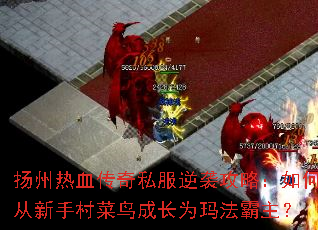 ������Ѫ����˽����Ϯ���ԣ���δ����ִ����ɳ�Ϊ�귨������