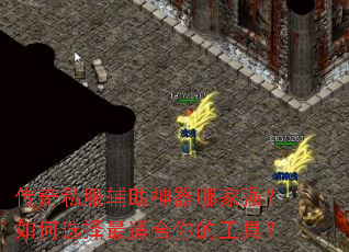 ����˽�����������ļ�ǿ�����ѡ�����ʺ���Ĺ��ߣ�