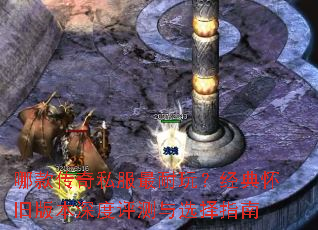 �Ŀ��˽�������棿���仳�ɰ汾���������ѡ��ָ��