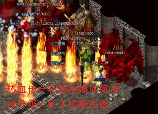 ��Ѫ����˽��ǰ����ο������������ֹ���ָ��