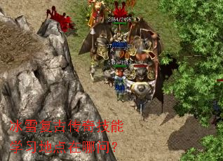 ��ѩ���Ŵ��漼��ѧϰ�ص������ʣ�