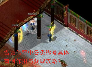 雪域传奇中各类称号具体有何作用与获取攻略? 雪域传奇中各类称号具体有何作用与获取攻略?