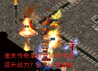 ��ʧ���浥ְҵ��ο�������ս�������ֱؿ�����