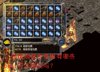 ��֪���Խ���������Щboss������ս��