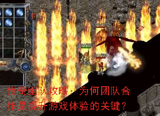 ������ӹ��ԣ�Ϊ���ŶӺ�����������Ϸ����Ĺؼ���