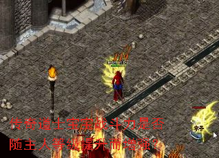 传奇道士宝宝战斗力是否随主人等级提升而增强? 传奇道士宝宝战斗力是否随主人等级提升而增强?