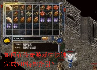 ����ڴ�����Ϸ�п������VIP��Ȩָ����