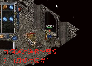 如何通过道教智慧提升自身修行境界? 如何通过道教智慧提升自身修行境界?