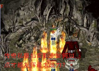传奇私服仙禽职业如何加点才能发挥最大战力? 传奇私服仙禽职业如何加点才能发挥最大战力?