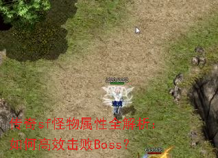 传奇sf怪物属性全解析:如何高效击败Boss? 传奇sf怪物属性全解析:如何高效击败Boss?