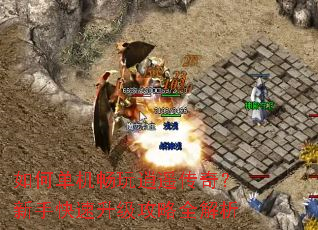 ��ε���������ң���棿���ֿ�����������ȫ����