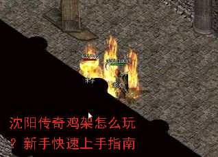 沈阳传奇鸡架怎么玩?新手快速上手指南 沈阳传奇鸡架怎么玩?新手快速上手指南