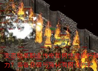 ��̬�浥ְҵ������ο�������ս����װ����ȡ��ǿ���кμ��ɣ�