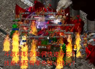 ��ս��ְҵ��ο������������ܴ�������Щ���ļ��ɣ�