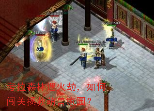 考拉森林遇火劫,如何闯关拯救萌兽家园? 考拉森林遇火劫,如何闯关拯救萌兽家园?