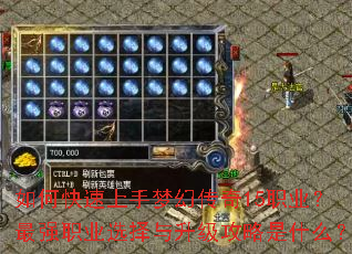 如何快速上手梦幻传奇15职业?最强职业选择与升级攻略是什么? 如何快速上手梦幻传奇15职业?最强职业选择与升级攻略是什么?